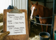 Feeding schedules