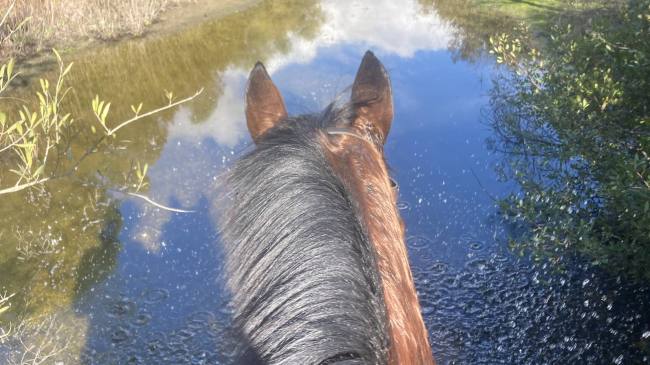 Happy Water Crossings