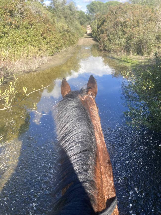 Happy Water Crossings