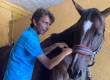 Manual Therapy